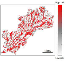 A map of liver fluke infection risk for a catchment in the UK.